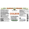 Coleus Alcohol-FREE Liquid Extract, Coleus (Coleus Forskohlii) Dried Root Glycerite