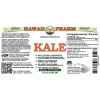 Kale, Red Spiderling (Brassica Oleracea) Tincture, Dried Leaf ALCOHOL-FREE Liquid Extract, Kale, Glycerite Herbal Supplement