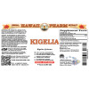 Kigelia (Kigelia Africana) Tincture, Dried Bark Liquid Extract