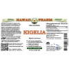 Kigelia (Kigelia Africana) Tincture, Dried Bark ALCOHOL-FREE Liquid Extract