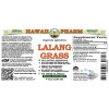 Lalang Grass, Cogongrass  (Imperata Cylindrica) Tincture, Dried Rhizome ALCOHOL-FREE Liquid Extract, Lalang Grass, Glycerite Herbal Supplement