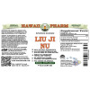 Liu Ji Nu Alcohol-FREE Liquid Extract, Liu Ji Nu, Artemesia (Artemisia Anomala) Herb Glycerite