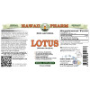 Lotus (Nelumbo Nucifera) Tincture, Certified Organic Dried Seed ALCOHOL-FREE Liquid Extract