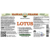 Lotus (Nelumbo Nucifera) Tincture, Dried Stem ALCOHOL-FREE Liquid Extract, Lotus, Glycerite Herbal Supplement
