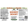 Kidney Boost Alcohol-FREE Herbal Liquid Extract, Dandelion, Chanca Piedra, Horsetail, Uva Ursi, Usnea, Cranberry Glycerite