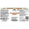 Gallbladder Guard Alcohol-FREE Herbal Liquid Extract, Artichoke, Dandelion, Corn Silk, Tansy, Burdock, Wormwood Glycerite