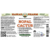 Nopal Cactus Alcohol-FREE Liquid Extract, Nopal Cactus (Opuntia Streptacantha) Whole Dried Cactus Glycerite