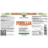Pinellia (Pinellia Ternata) Tincture, Certified Organic Dried Rhizome ALCOHOL-FREE Liquid Extract