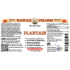 Plantain Liquid Extract, Organic Plantain (Plantago major) Dried Leaf Tincture