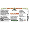 Plantain Alcohol-FREE Liquid Extract, Organic Plantain (Plantago major) Dried Leaf Glycerite