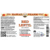 Red Lentil (Lens culinaris) Tincture, Dried Seed Liquid Extract