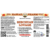 Szechuan Lovage, Sheng Chuan Xiong (Ligusticum Striatum) Tincture, Dried Rhizome Liquid Extract, Szechuan Lovage, Herbal Supplement