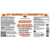 Sheep Sorrel Liquid Extract, Organic Sheep Sorrel (Rumex acetosella) Dried Herb Tincture