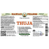 Thuja Alcohol-FREE Liquid Extract, Thuja (Thuja Occidentalis) Dried Leaf Glycerite