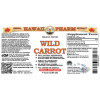 Wild Carrot Liquid Extract, Wild Carrot (Daucus Carota) Dried Seeds Tincture