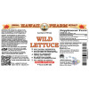 Wild Lettuce Liquid Extract, Organic Wild Lettuce (Lactuca Virosa) Dried Herb Tincture