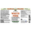White Pine Alcohol-FREE Liquid Extract, White Pine (Pinus Strobus) Dried Bark Glycerite