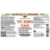 Yu Xing Cao Alcohol-FREE Liquid Extract, Yu Xing Cao (Houttuynia Cordata) Dried Herb Glycerite